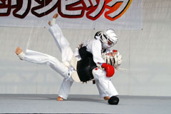 2010年 (平成22年) 活動記録 (Activity Record) 2010年 (平成22年) 活動記録 (Activity Record)