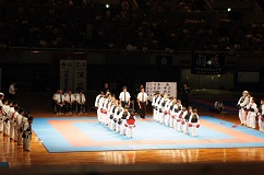 SE{@I茠 All Japan Championship
