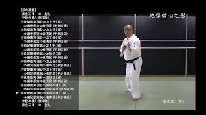 nSV` (CHIGEKI RYUSHIN)
