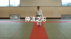 LV` (SHINRYU)