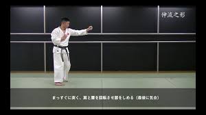 LV` (SHINRYU)