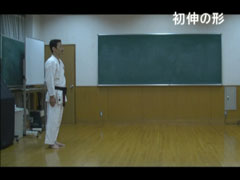 LV` (SHOSHIN)