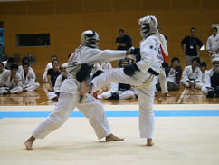 ���{���@���Q���I�茠���s�l��E�c�̐�t