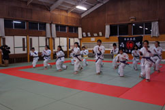 2015LbY2 - Qer