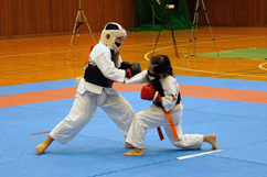 ���{���@���Q���I�茠���