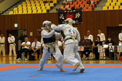 ��17����{���@���Q���I�茠���