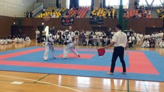 ���{���@���Q���I�茠���