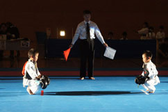 ��9����{���@���Q���I�茠���(�c�̐�E�l��)