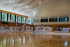 ��5����{���@���Q���I�茠���(�c�̐�E�l��)