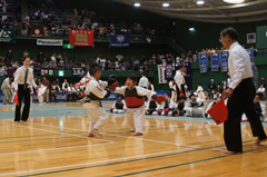 ���{���@���Չ�D�����