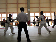 ���{���@���������I�茠���