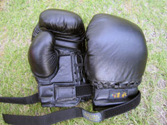{@O[u@Gloves for Kempo