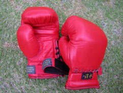 {@O[u@Gloves for Kempo